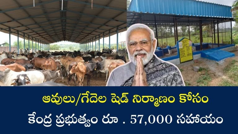 MGNREGA Scheme