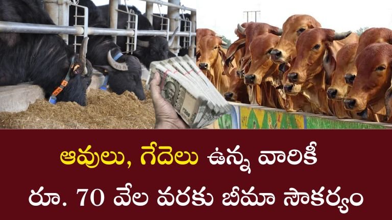 National Livestock Mission
