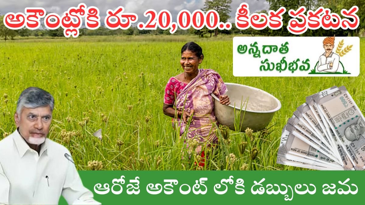 Chandrababu: అన్నదాత సుఖీభవ పథకం కింద రూ.20,000! సీఎం చంద్రబాబు కీలక ప్రకటన – ఇదే నిజం